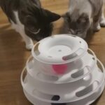 Torre con bolitas para gatos juguete interactivos como entretener a gatitos con juguetes