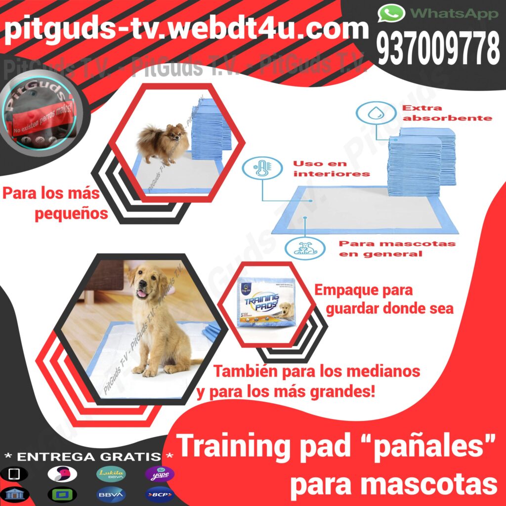 Training pad pet pañales para perro como educar a mi perro para no orinar en casa mi perro orina en casa Taining pad perro grande perro mediano training pad perro pequeño