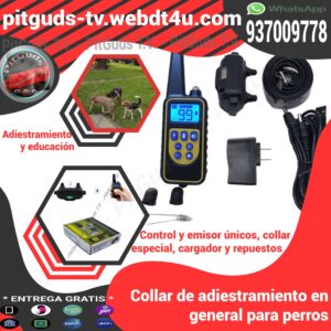 Entrena cans Adiestramiento perruno collar antiladridos como educar un perro