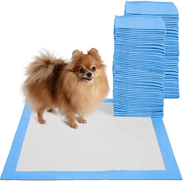 Training pad pet pañales para perro como educar a mi perro para no orinar en casa mi perro orina en casa Taining pad perro grande perro mediano training pad perro pequeño