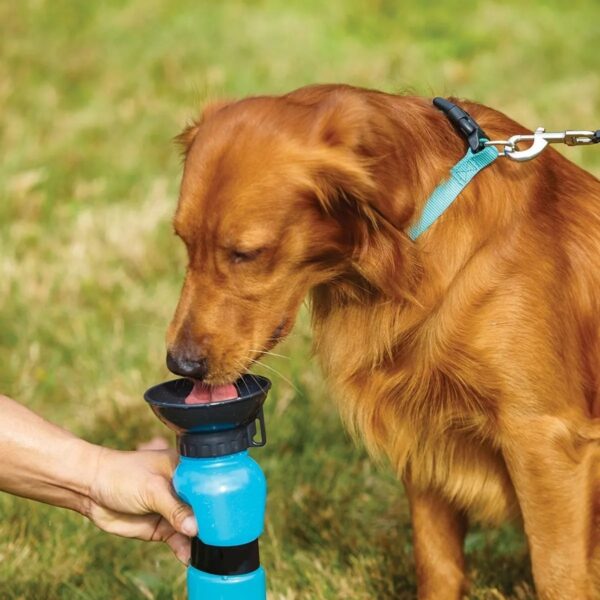 Toma todo para perros plato portatil para agua en parque para perro tomatodo bebedero portatil bebedero para afuera