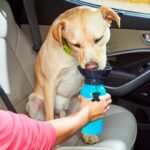 Toma todo para perros plato portatil para agua en parque para perro tomatodo bebedero portatil bebedero para afuera